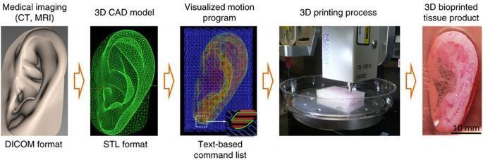 3D Bioprinting Process