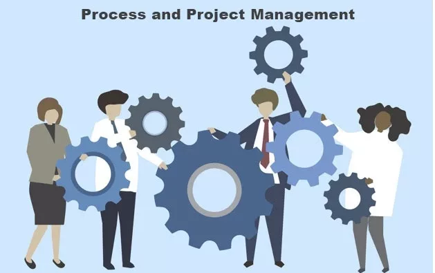 MVP Process and Project management