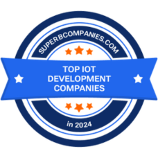 top iot development company